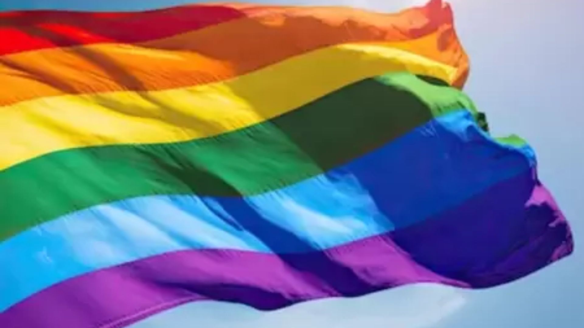 Bandeira LGBTQIA+. Foto: Reprodução/ Redes Sociais