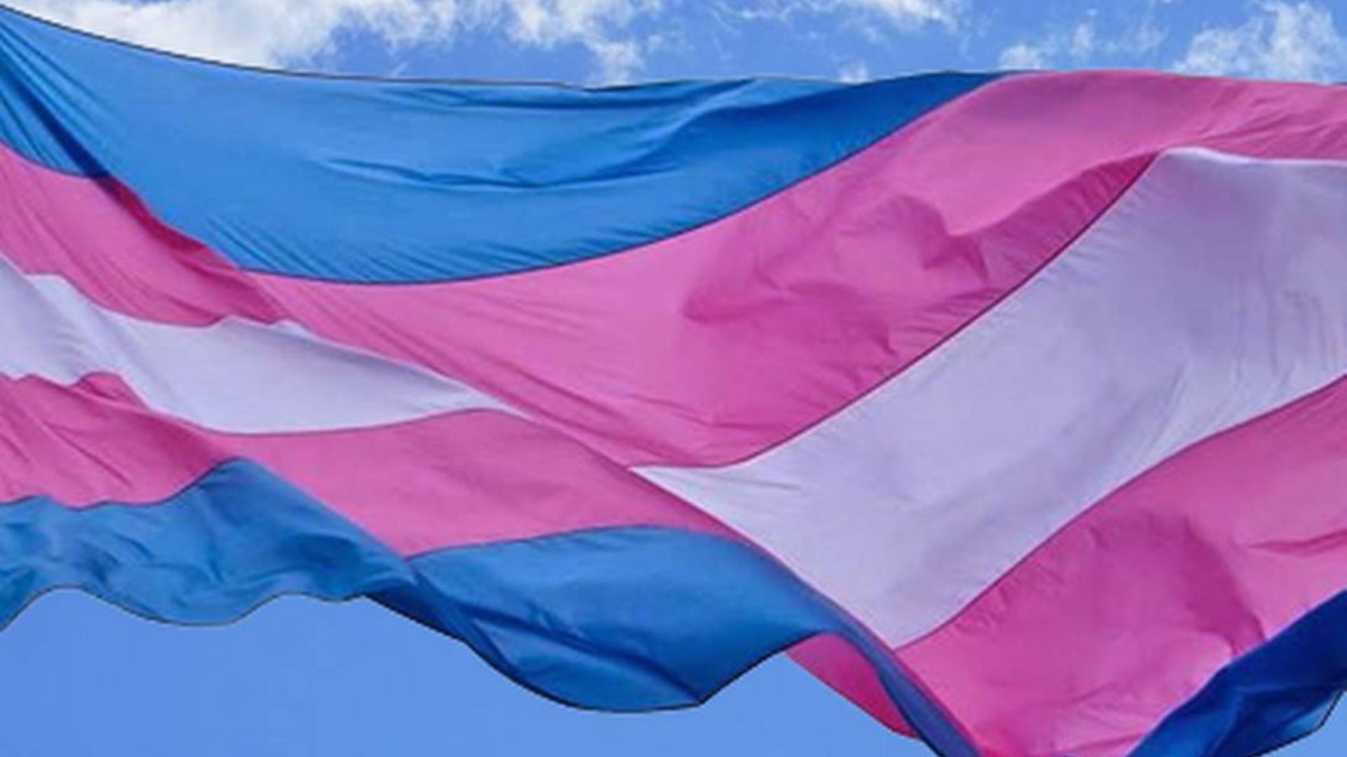 Bandeira Trans. Foto: Reprodução/ Redes Sociais