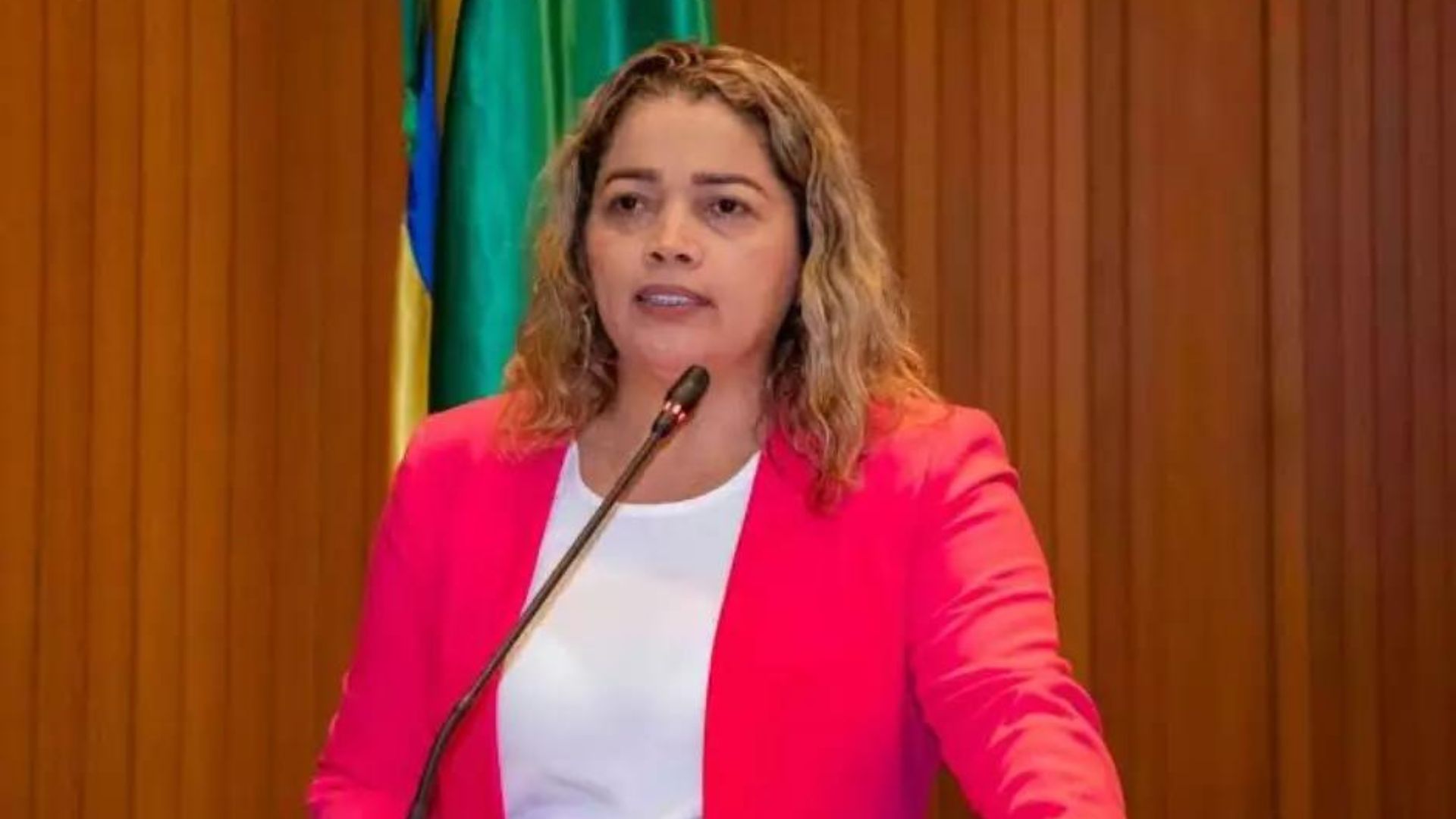 Deputada alega ser VÍTIMA de crentefobia após defender sessão SÓ COM HOMENS. Foto: Assembleia Legislativa de Maranhão