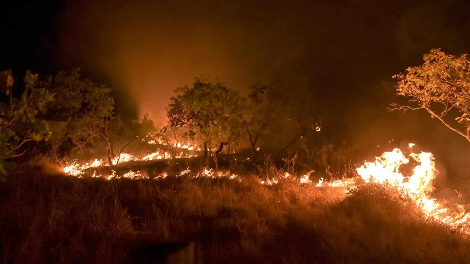 Brasil bate recorde em incêndios florestais entre janeiro e abril de 2024.