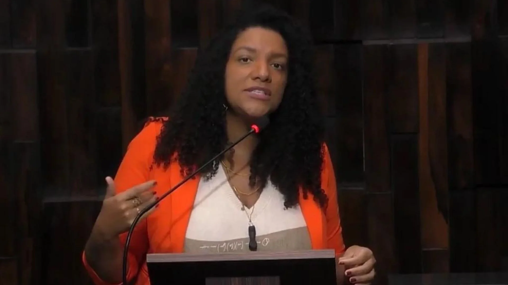 deputada estadual Renata Souza (PSOL). Foto: Reprodução