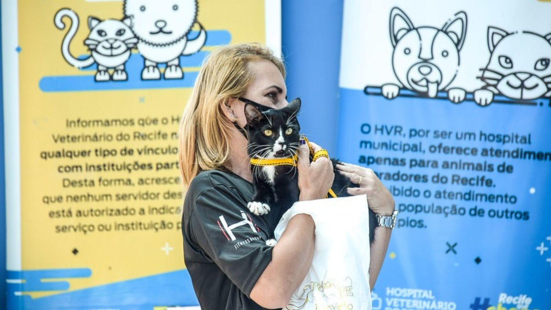 Gato em atendimento no Hospital Veterinário do Recife. Foto: Daniel Tavares/PCR