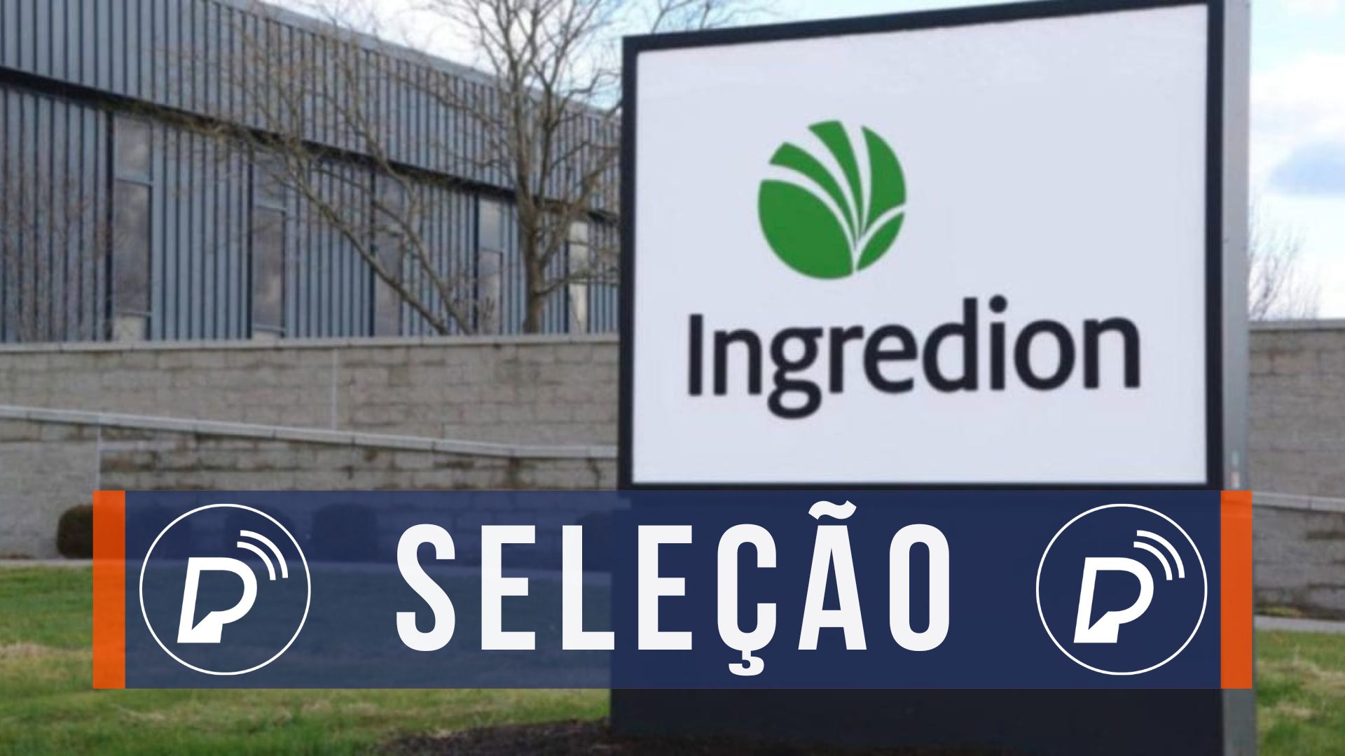 Ingredion empregos