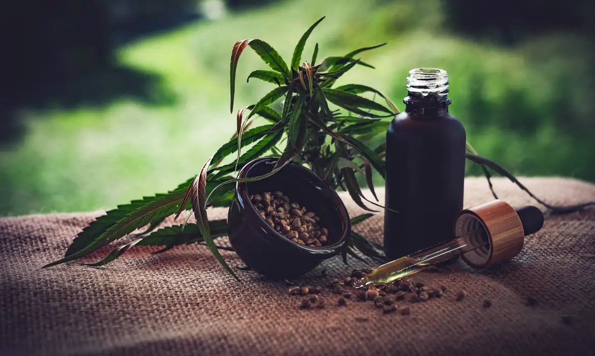 Maconha medicinal. Foto: CBD-Infos-com/ Pixabay Frente Parlamentar