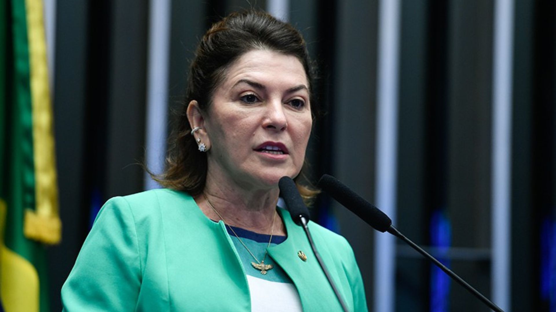 Senadora Rosana Martinelli nega participação em invasão às sedes dos Três Poderes e relata bloqueio de contas bancárias e retenção de passaporte