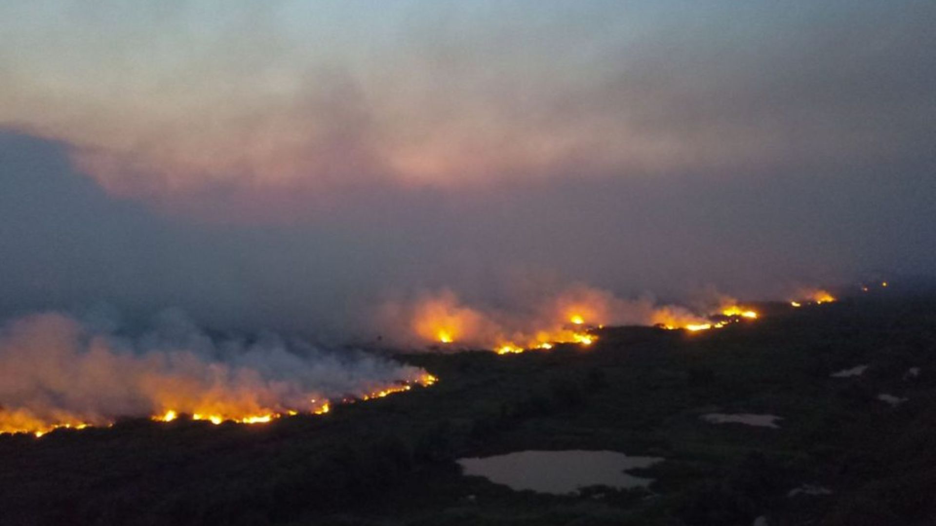 "Orçamento não vai faltar" diz Simone Tebet sobre o combate aos incêndios no Pantanal. Foto: Chico Ribeiro/ Governo Mato Grosso