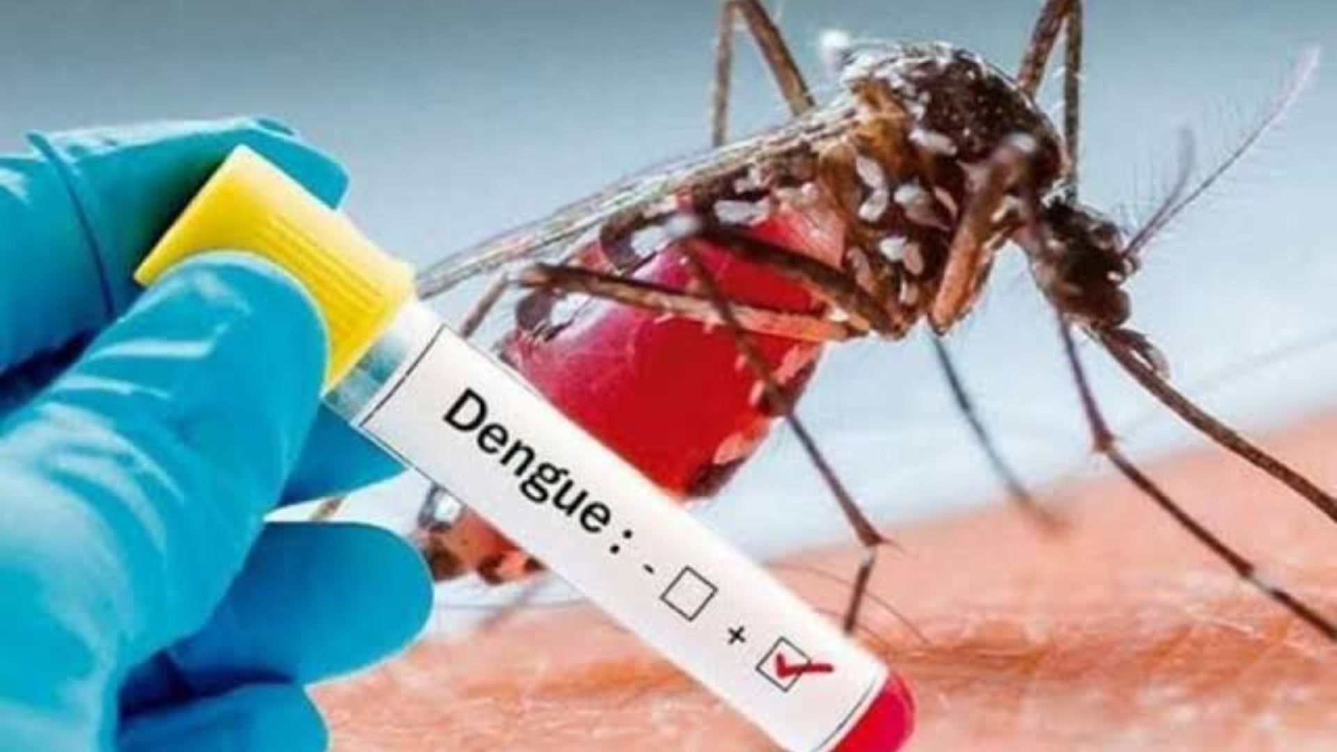 Casos de dengue registram aumento de 430,9%, em Pernambuco.