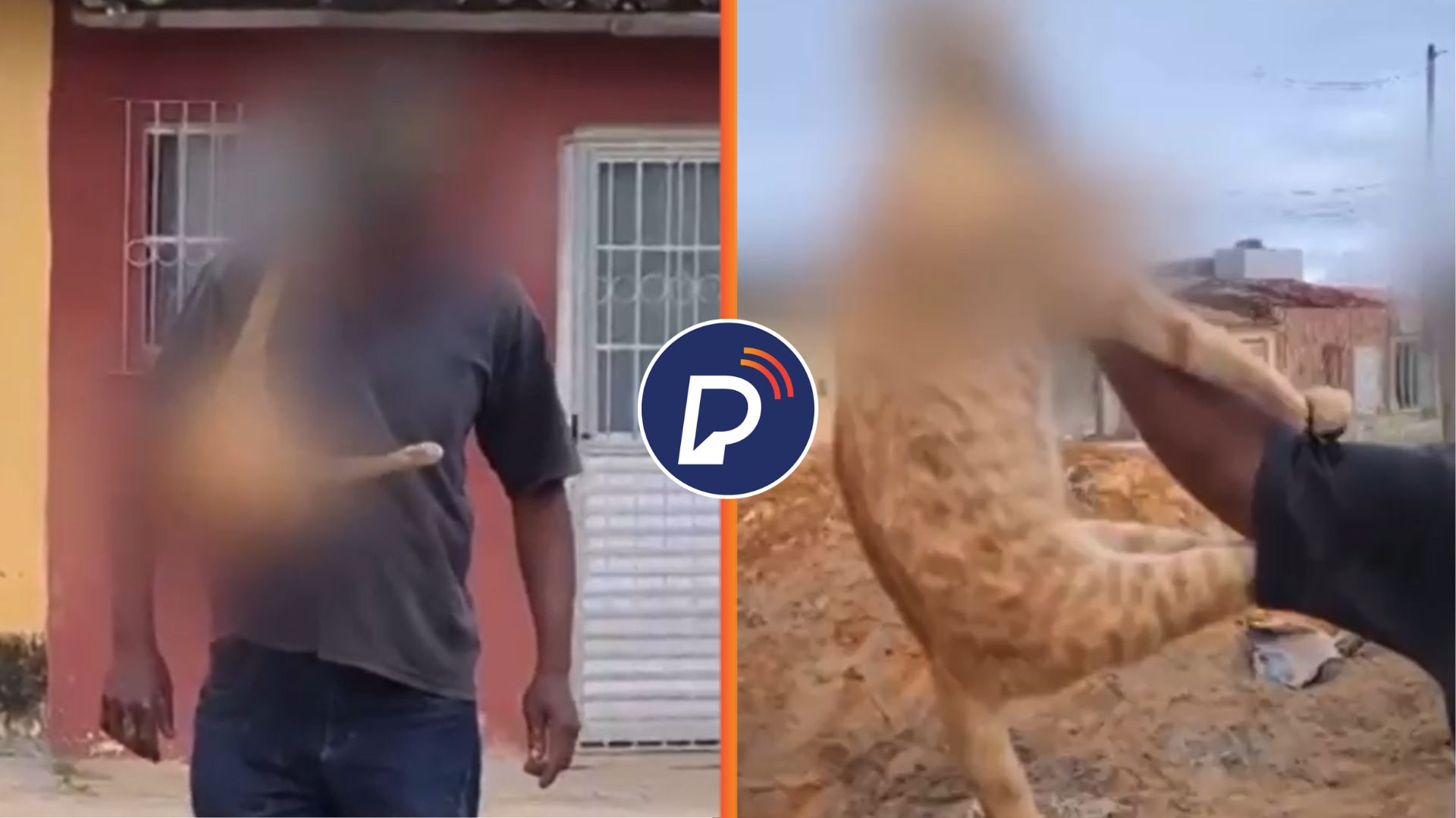 Homem é preso após assassinar gato e desfilar com o animal nas costas em Pernambuco. Foto: Reprodução/Vídeo