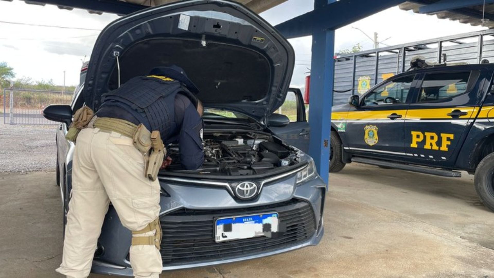 PRF apreende dez veículos adulterados em Pernambuco, neste domingo (7). Foto: Divulgação/PRF