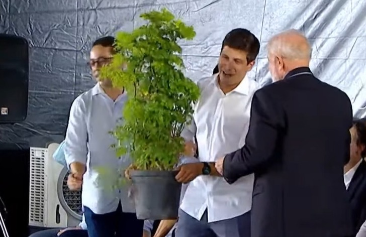 João Campos entrega árvore a Lula. Foto: Reprodução