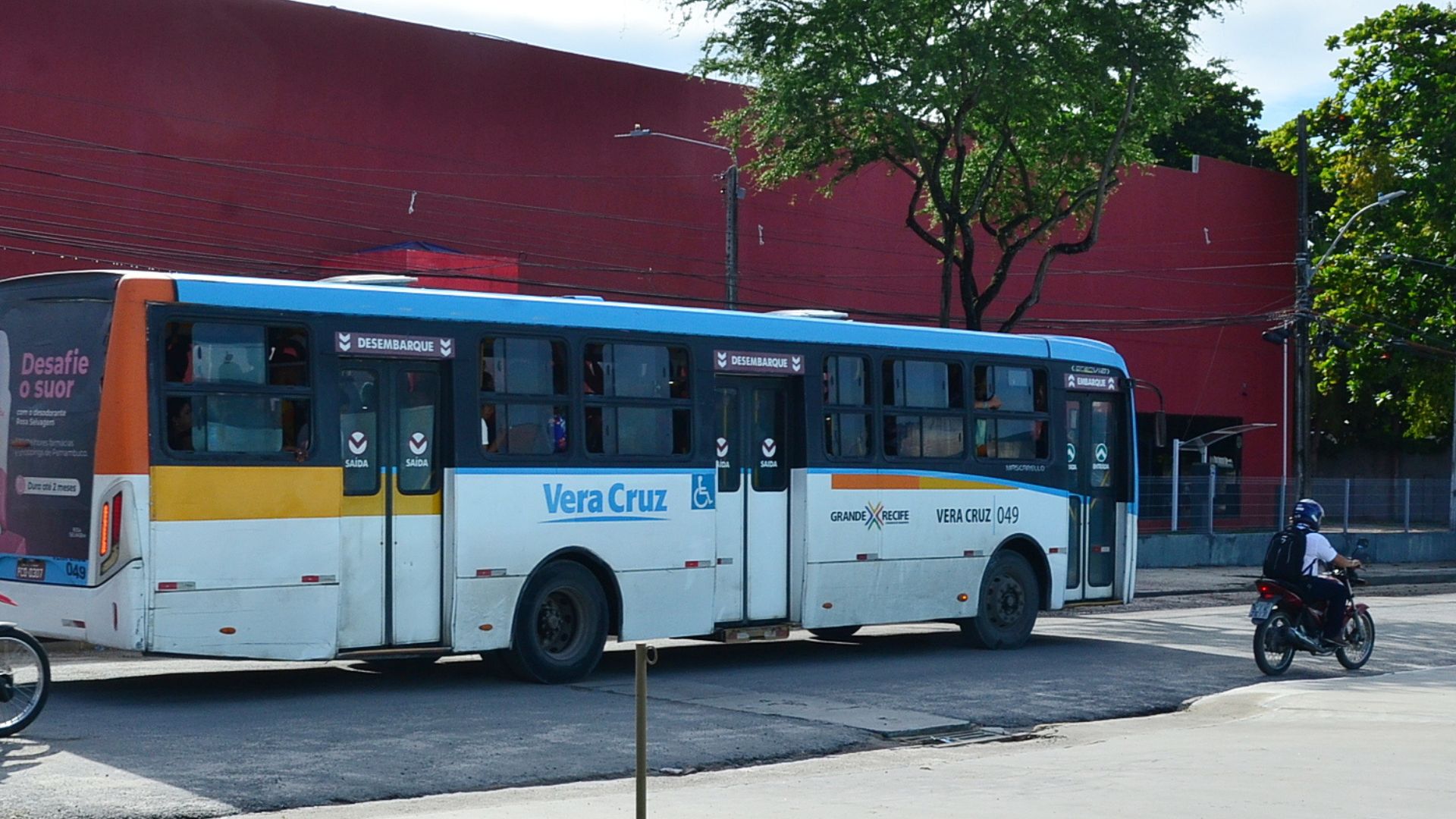 Ônibus da Vera Cruz. Foto: Divulgação